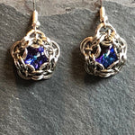 Captured Crystal Earrings in Rainbow