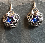Captured Crystal Earrings in Rainbow
