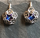Captured Crystal Earrings in Rainbow